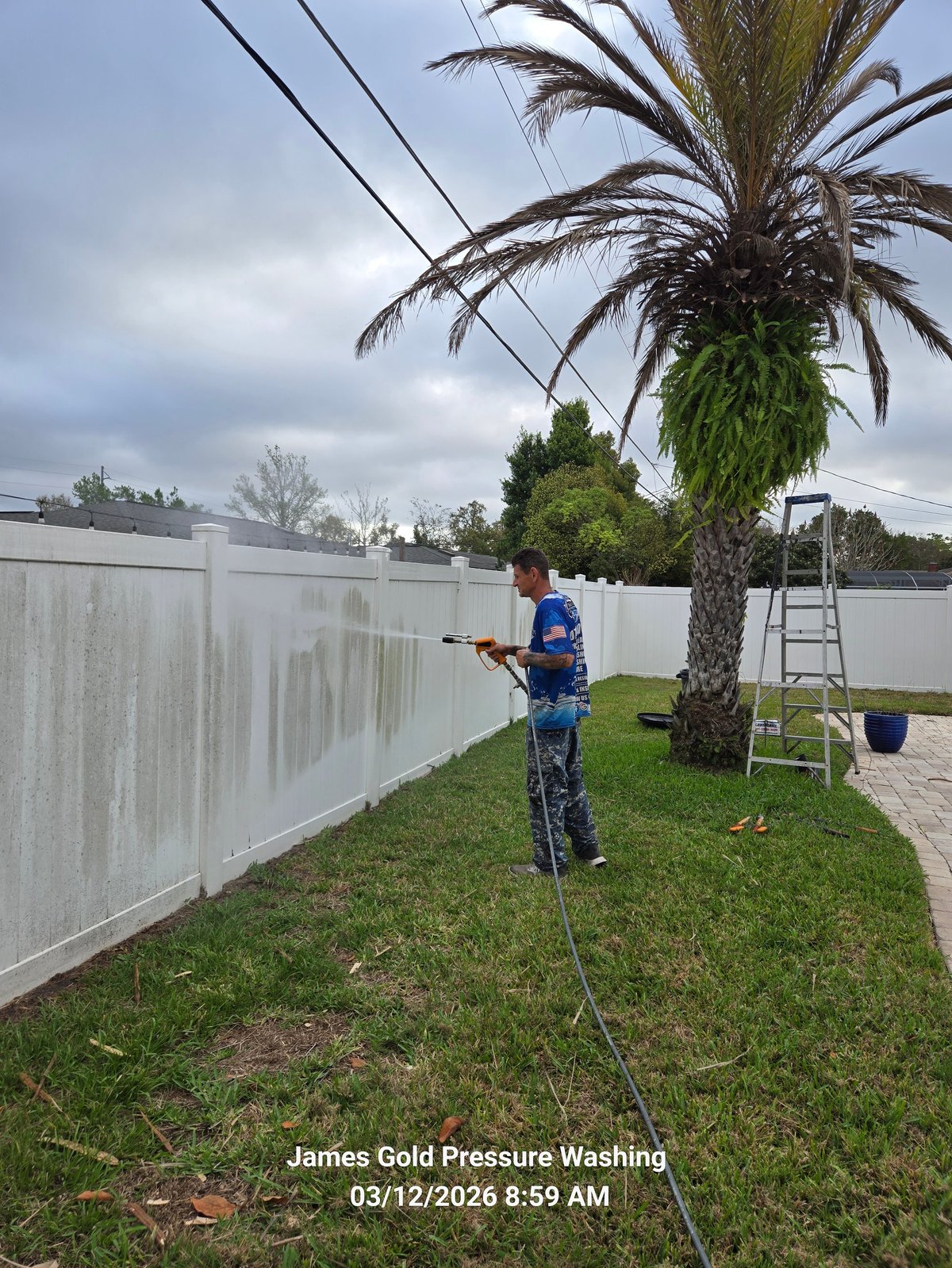 Person pressure washing a tall palm tree trunk in a residential backyard with white fence and green lawn