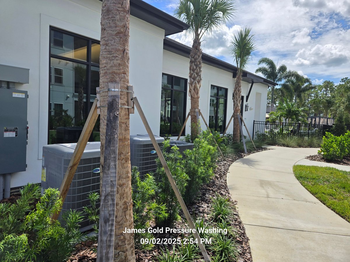 Modern white building with palm trees, concrete walkway, and landscaping during daytime