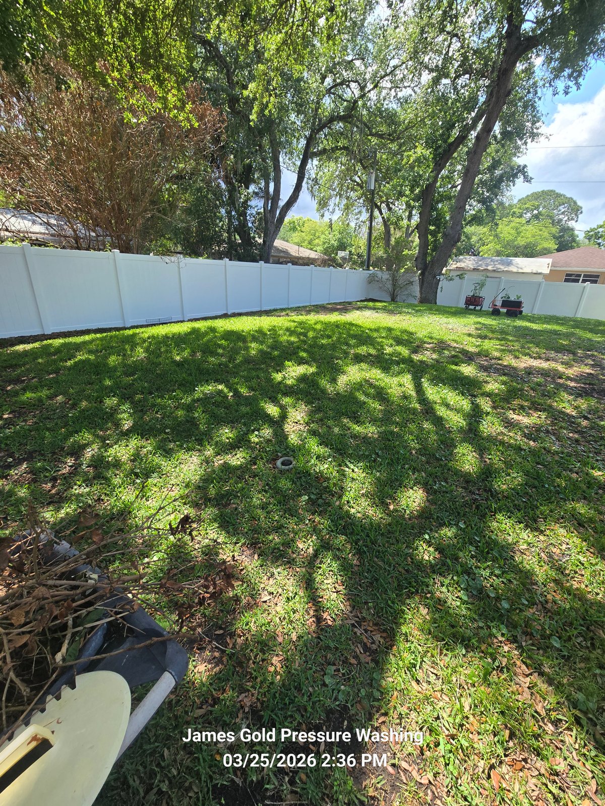 Sunny backyard with lush green lawn, white vinyl fencing, tall shade trees, and mulch patches