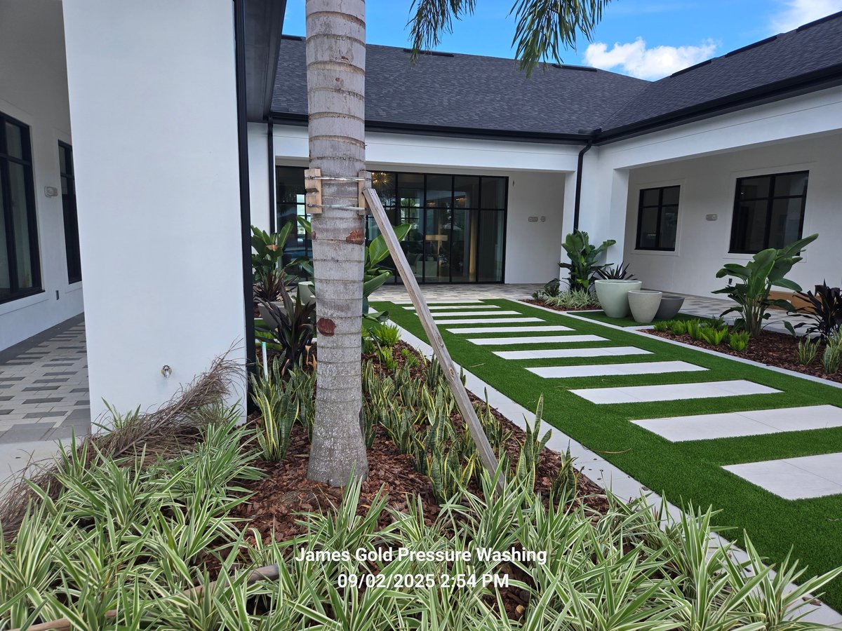 Modern white house courtyard with stepping stone walkway, palm trees, and tropical landscaping