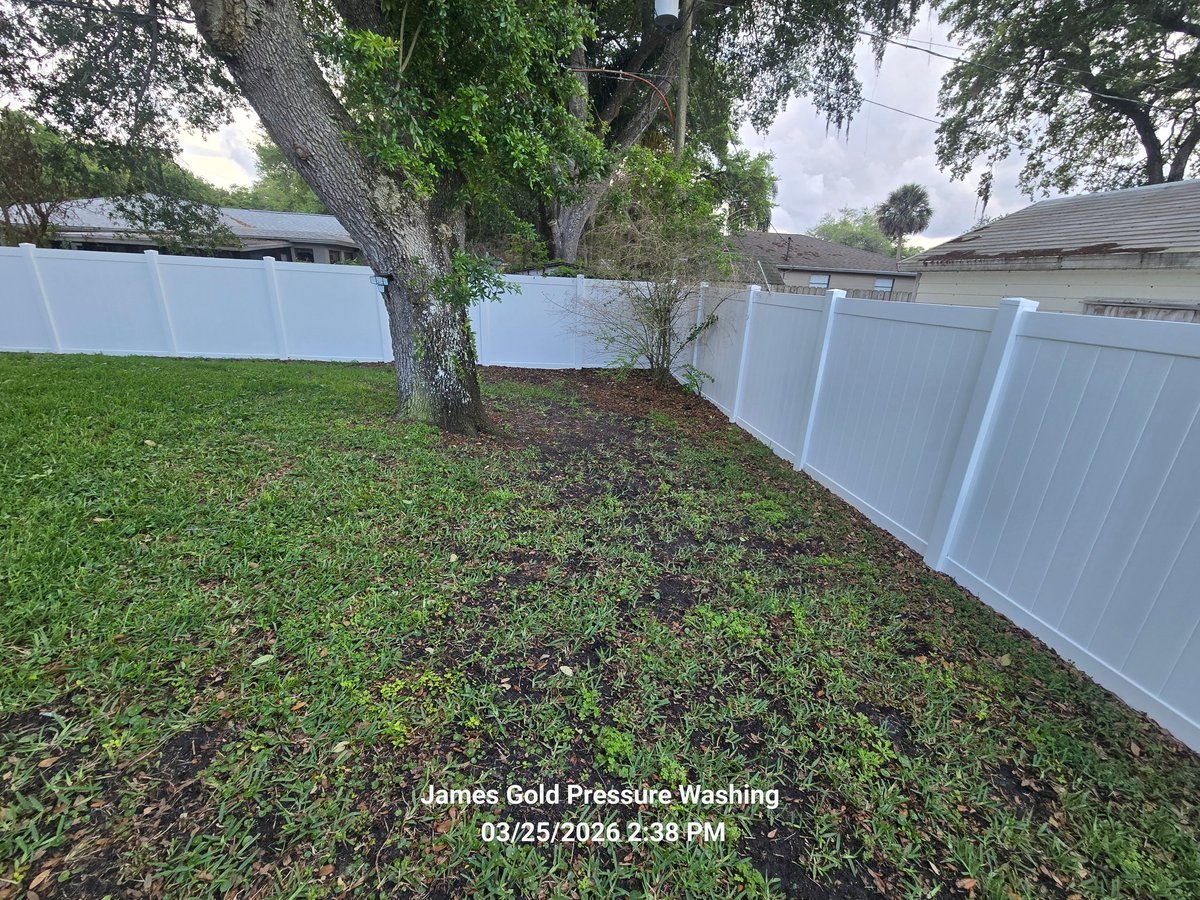 Backyard lawn with large shade tree and freshly washed white vinyl fence