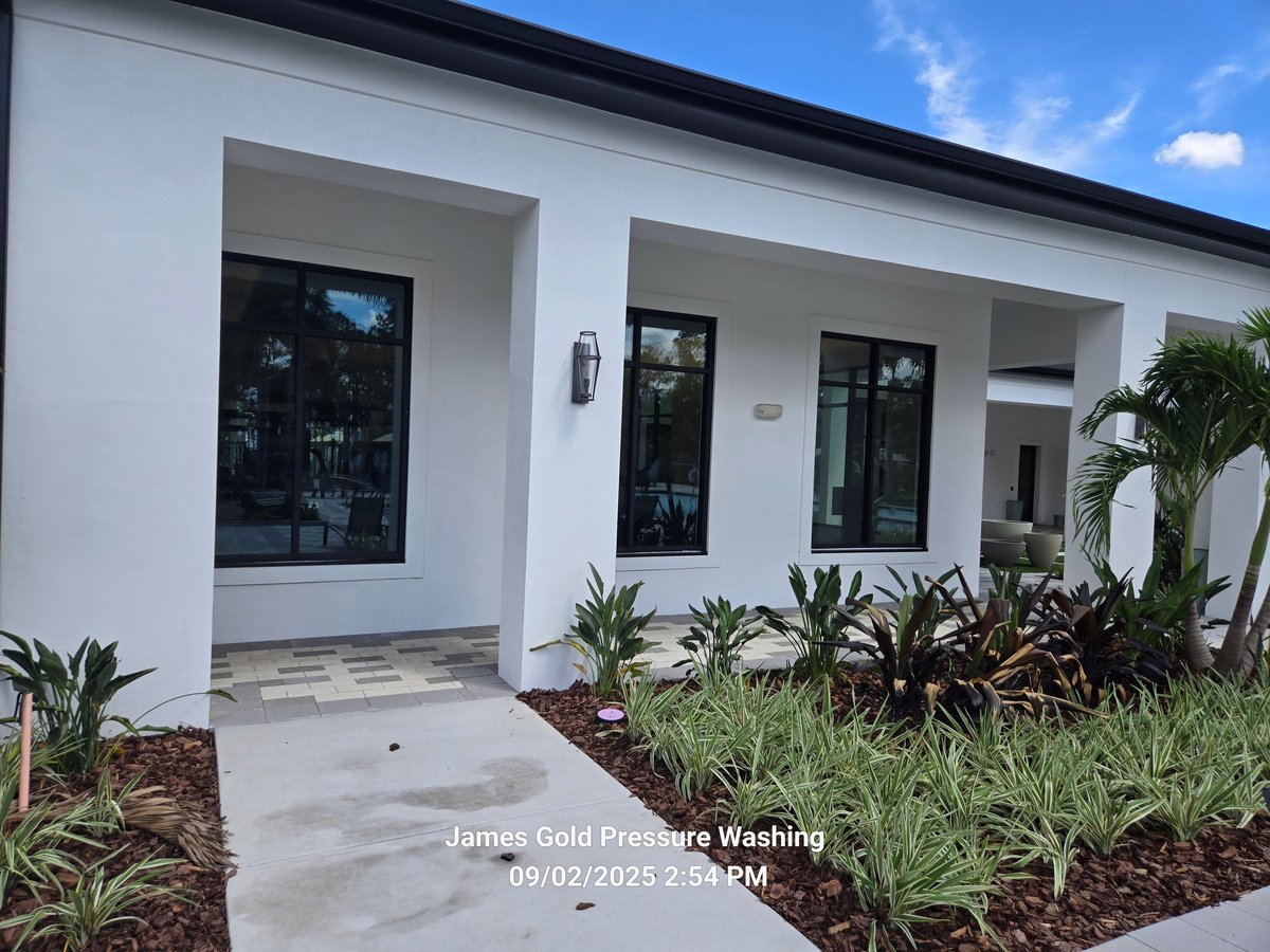 Modern white house exterior with three large windows, concrete patio, and landscaping with palm plants