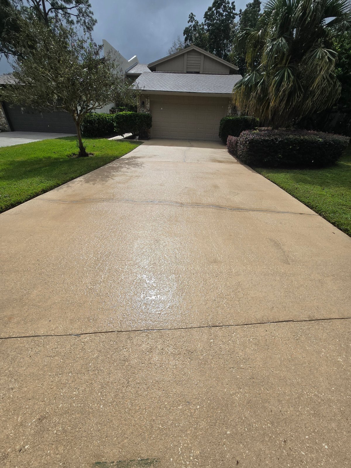 Single-story Florida home with a freshly cleaned concrete driveway and tropical landscaping