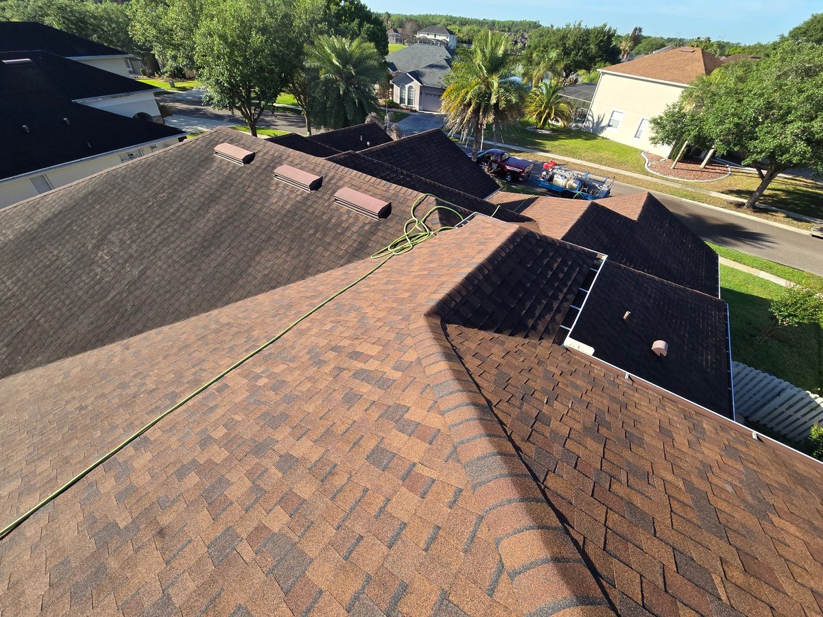 Aerial view of residential roofing with brown asphalt shingles and a neighboring dark roof in a suburban neighborhood with palm trees