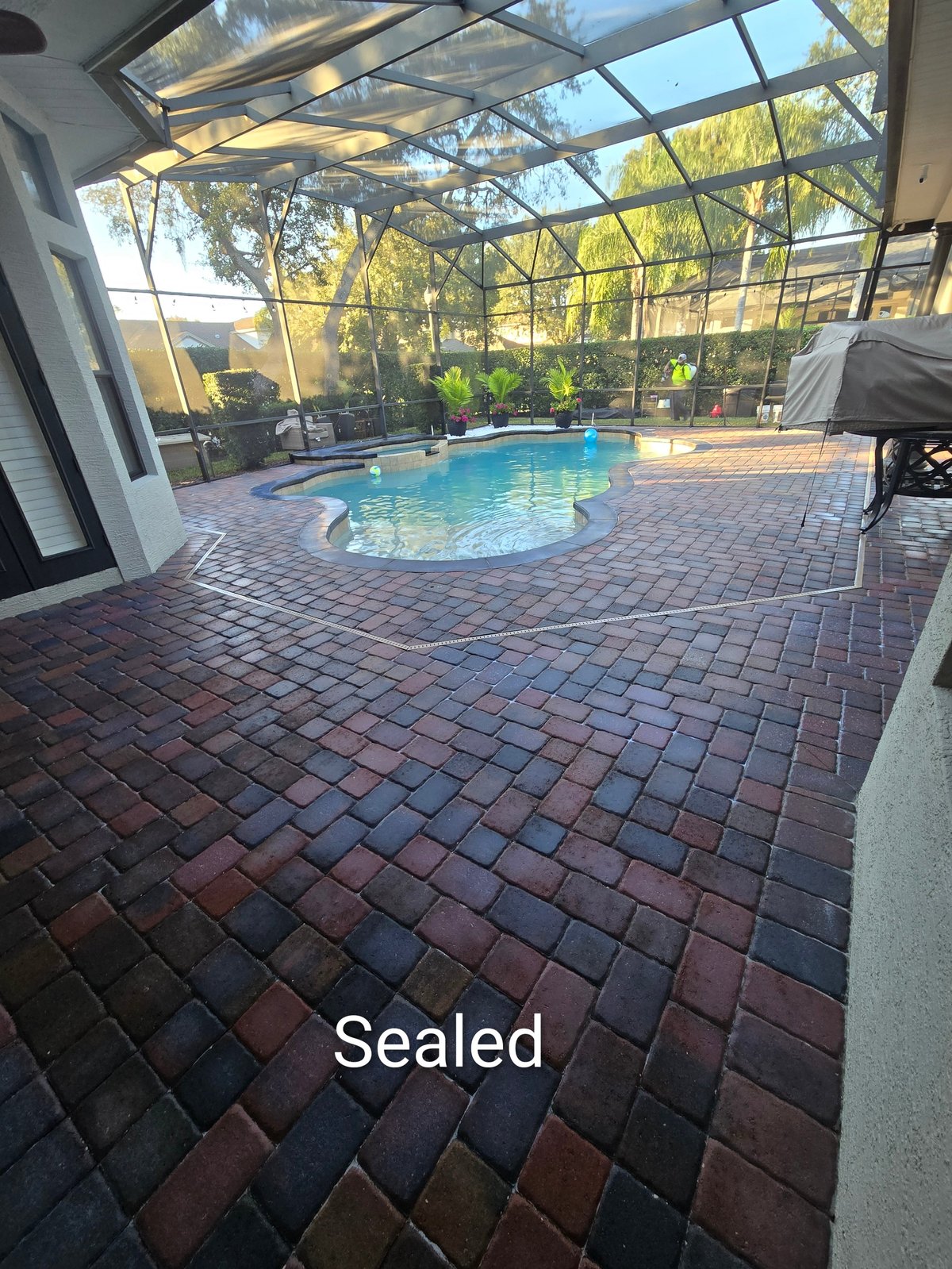 Sealed brick patio surrounding a curved swimming pool inside a screened enclosure with glass ceiling panels and trees visible outside