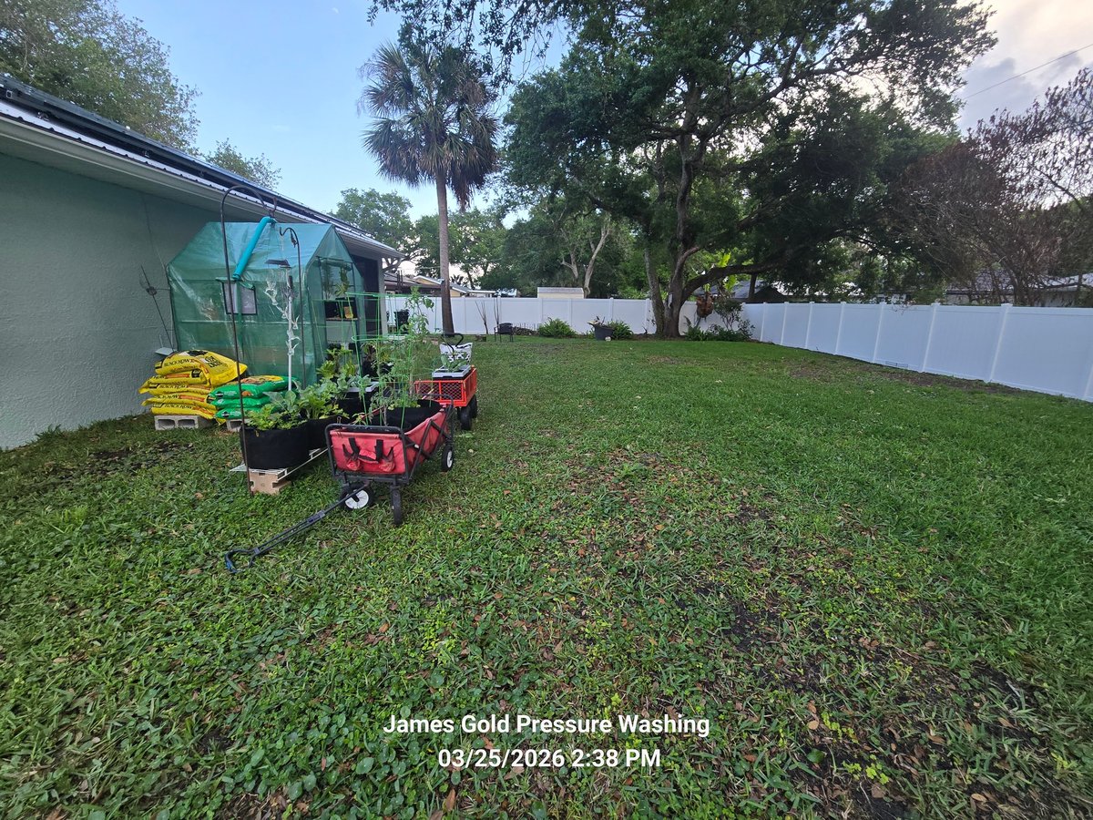 Pressure washing equipment with red cart and yellow hose reel in a residential backyard with green grass and palm trees