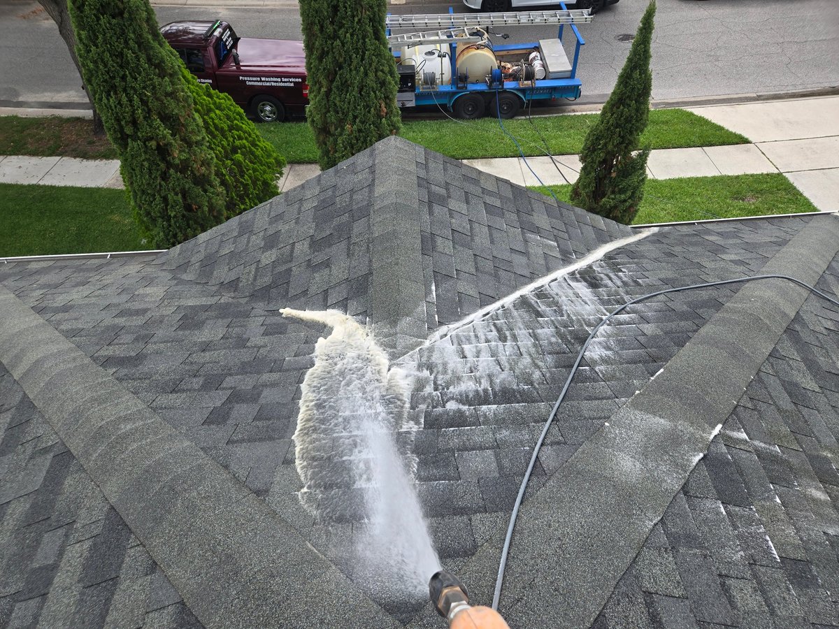 Roof cleaning in progress with high-pressure water spray on dark shingles, with two cypress trees and vehicles visible below