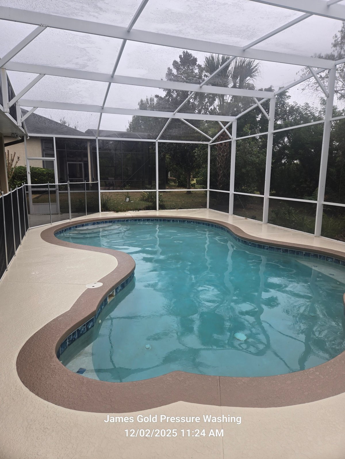 Enclosed backyard swimming pool with turquoise water and white screened enclosure roof, palm trees visible in background